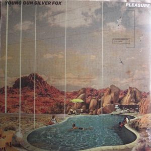 Young Gun Silver Fox – Pleasure