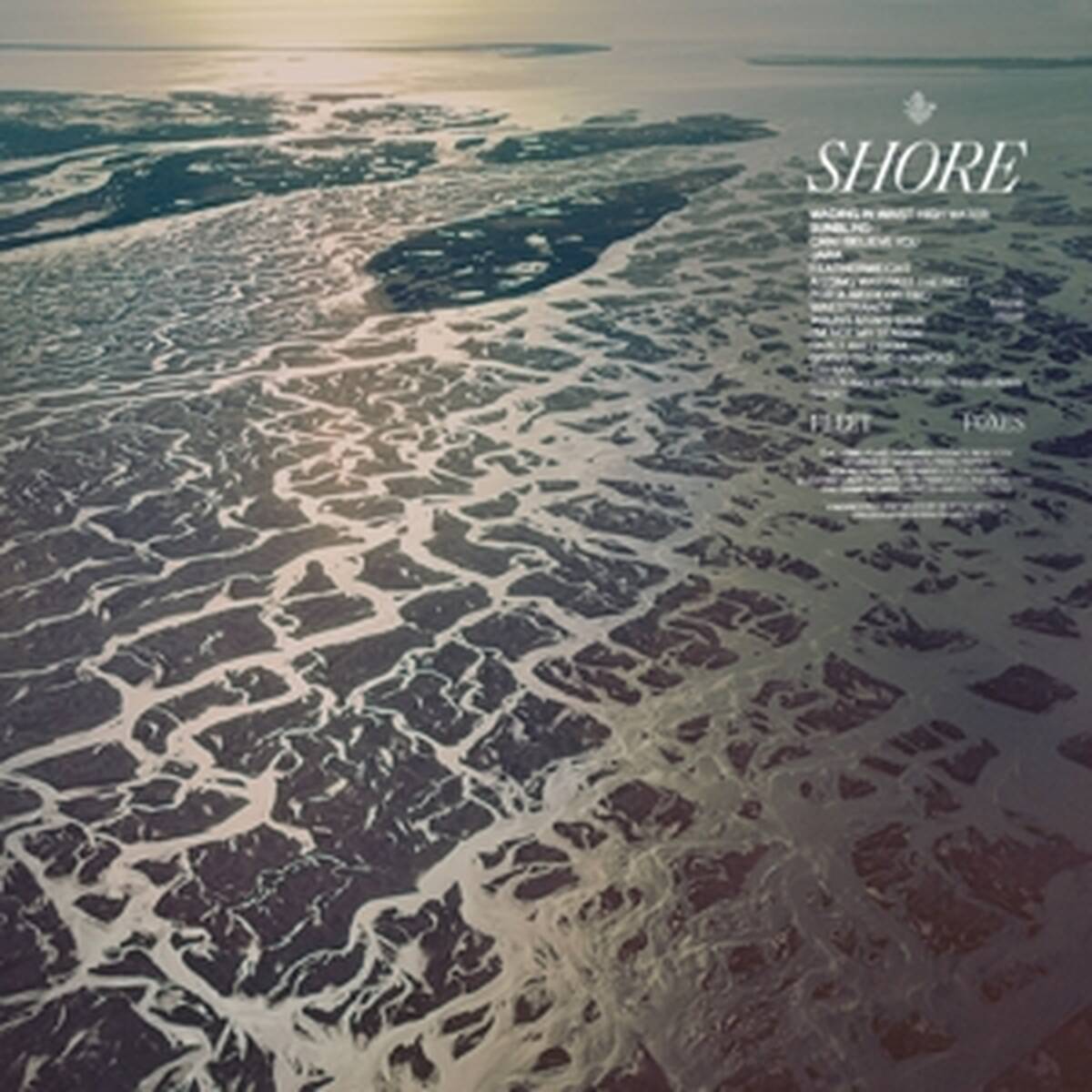 Fleet Foxes - Shore - Afbeelding 1