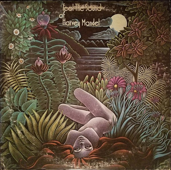 Harvey Mandel - Feel the Sound of Harvey Mandel