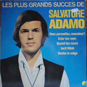 Adamo - Les Plus Grands Succes de Salvatore Adamo ( 2LP)