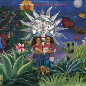 7" | Tears for Fears - Advice for the Young at Heart / Johnny Panic and the Bilble of Dreams