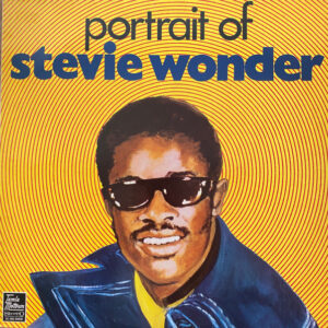 Stevie Wonder - Portrait of Stvie Wonder