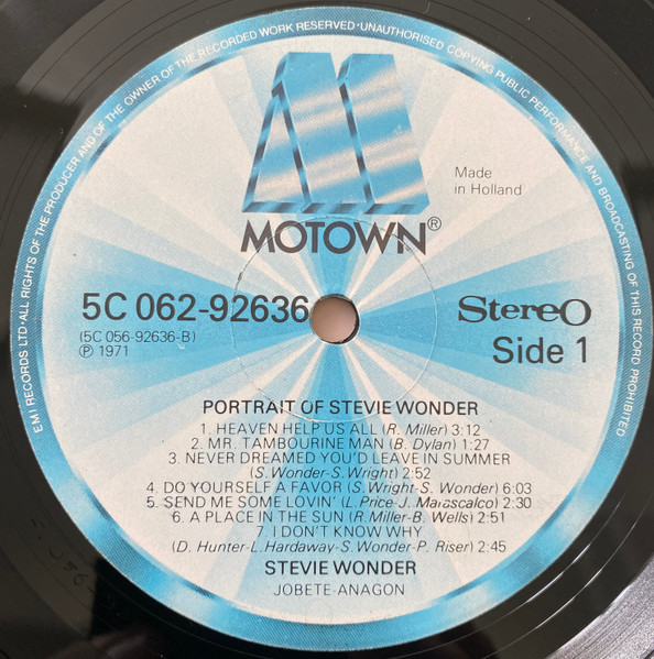 Stevie Wonder - Portrait of Stvie Wonder