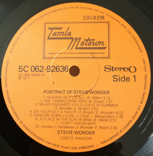 Stevie Wonder - Portrait of Stvie Wonder