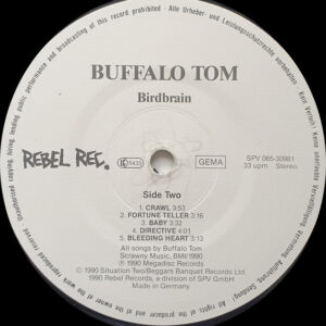 Buffalo Tom - Birdbrain - Afbeelding 2