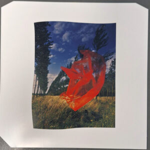 Pink Floyd - Wish you were here - Afbeelding 2