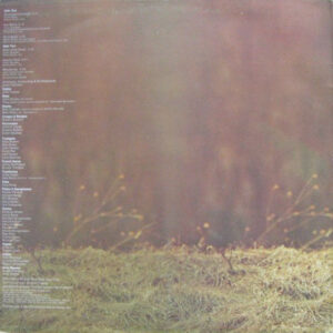 Deodato - Whirlwinds - Afbeelding 3