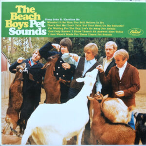 The Beach Boys - Pet Sounds - Mono