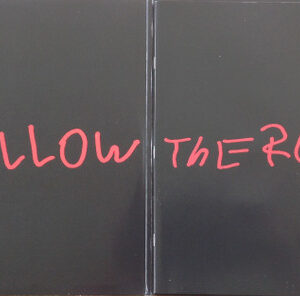 Rufus Wainwright - Unfollow The Rules - Afbeelding 3