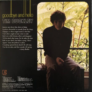 Tim Buckley – Goodbye And Hello - Afbeelding 2
