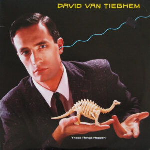 David Van Tieghem – These Things Happen