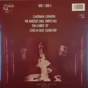 Siouxsie & The Banshees – Tinderbox - Afbeelding 3