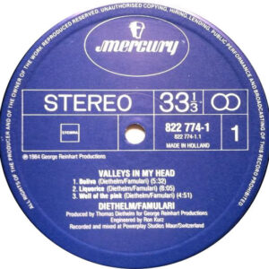 Diethelm / Famulari – Valleys In My Head - Afbeelding 2