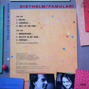 Diethelm / Famulari – Valleys In My Head - Afbeelding 3