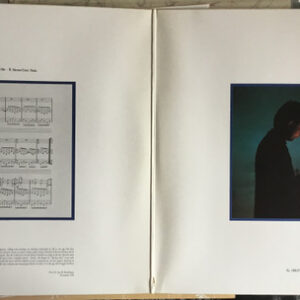Wim Mertens Performed By Soft Verdict – Maximizing The Audience (2LP) - Afbeelding 3