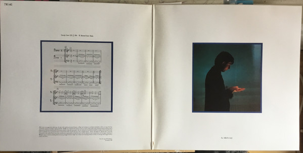 Wim Mertens Performed By Soft Verdict – Maximizing The Audience (2LP)