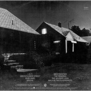 Donald Fagen – The Nightfly - Afbeelding 3