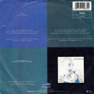 7" | Sinead O'Connor - Troy / Still Listening - Afbeelding 3