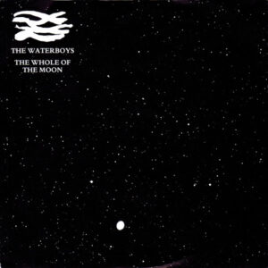 7" | The Waterboys - The Whole of the Moon / Medicine Jack