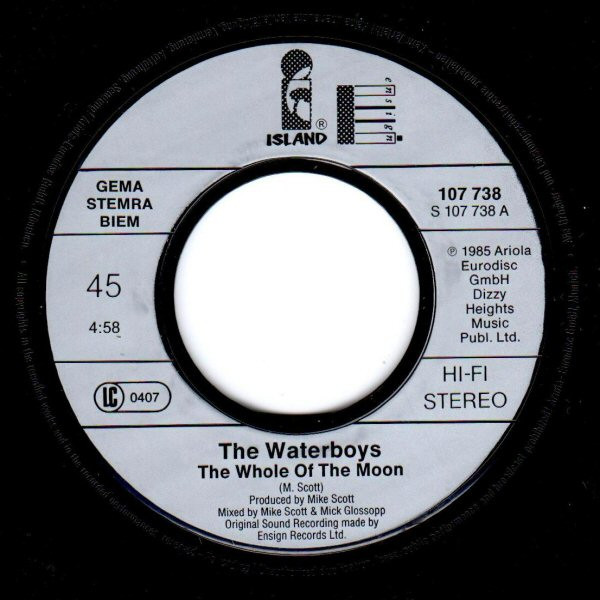 7" | The Waterboys - The Whole of the Moon / Medicine Jack