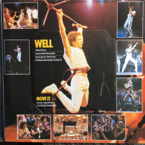 Rob de Nijs - Springlevend (Jubileumconcert '62-'82) (2 LP) - Afbeelding 2