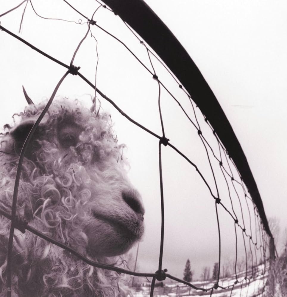 Pearl Jam - Vs. Vinyl Edition (LP) (Remastered)