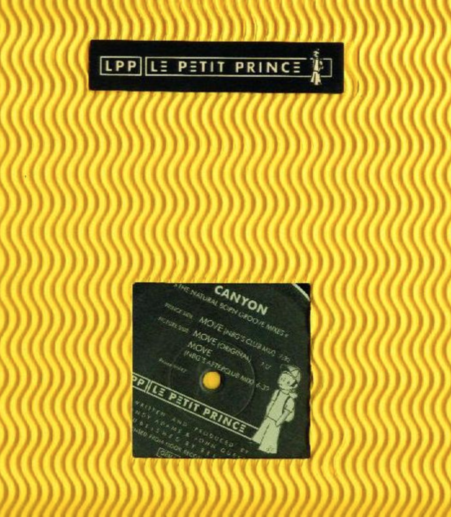 12" | Canyon - Move (the Natural Born Groove Mixes)