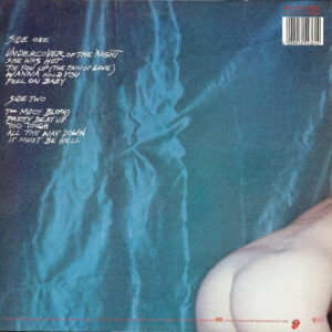 Rolling Stones - Under Cover - Afbeelding 3