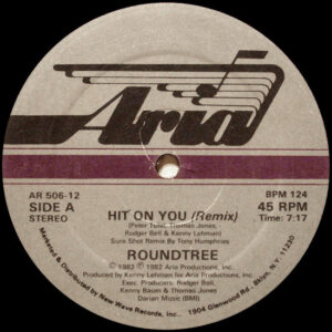 12" | Roundtree - Hit on You (remix) - Afbeelding 3