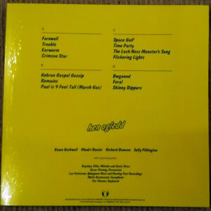 Hen Ogledd – Free Humans (2LP, Limited Edition, Blue and yellow vinyl) - Afbeelding 3