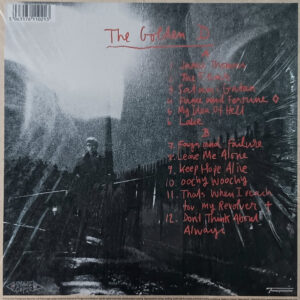 Graham Coxon – The Golden D - Afbeelding 3
