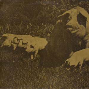 Pink Floyd – Tour 73 - Afbeelding 3