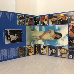 Annie Haslam – Annie In Wonderland - Afbeelding 2