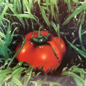 Banco – ...Di Terra - Afbeelding 3