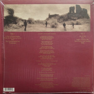 U2 – The Unforgettable Fire - Afbeelding 3