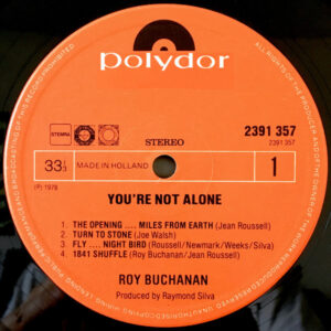 Roy Buchanan – You're Not Alone - Afbeelding 2