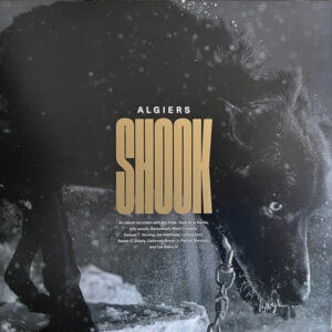 Algiers – Shook (2LP gold vinyl)