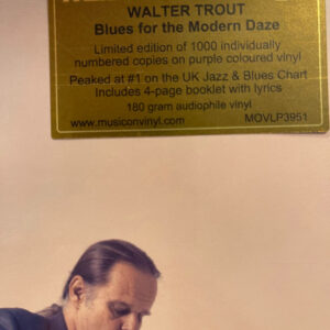 Walter Trout – Blues For The Modern Daze - Afbeelding 2