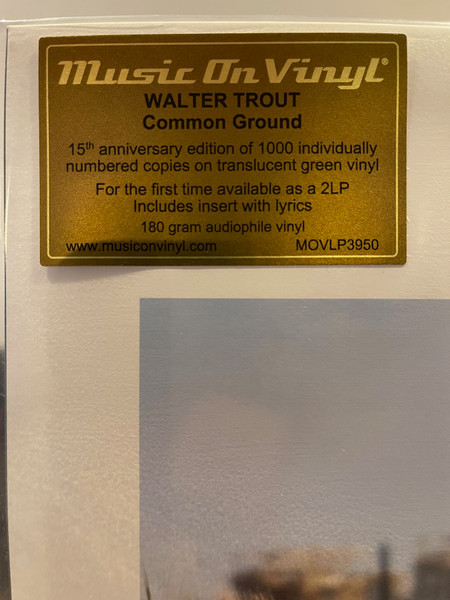 Walter Trout – Common Ground