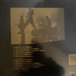 Bush – Golden State (translucent golden vinyl) - Afbeelding 2