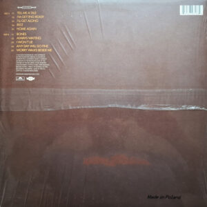 Michael Kiwanuka – Home Again - Afbeelding 2