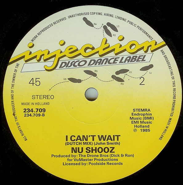 12" | Nu Shooz -  I Can't Wait (American Mix) / I Can't Wait (Dutch Mix)