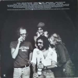 Fleetwood Mac - Heroes are Hard to Find - Afbeelding 3