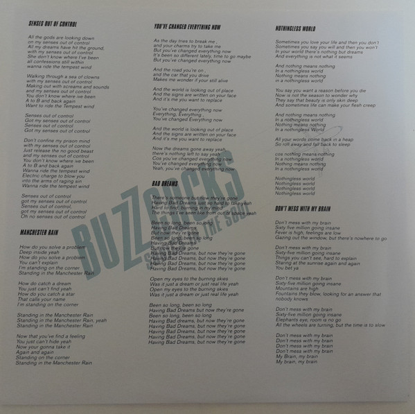 Buzzcocks – Sonics In The Soul