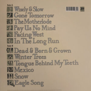 The Staves – Dead & Born & Grown - Afbeelding 3