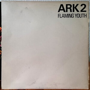 Flaming Youth - Ark 2 (met Phil Collins, Gimmick sleeve) - Afbeelding 3