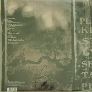 Alanis Morisette - Supposed Former Infatuation Junkie (2 LP) - Afbeelding 3