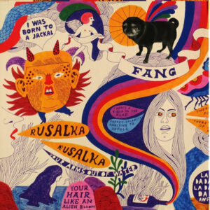 The Decemberists - I'll be Your Girl - Afbeelding 2