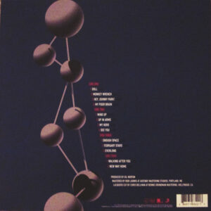 Foo Fighters - The Colour and the Shape (2 LP) - Afbeelding 3
