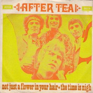 7" | After Tea - Not Just a Flower in Your Hair / The Time is High (Mono) - Afbeelding 1